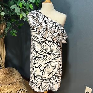 Women’s Dress size Med Apt 9